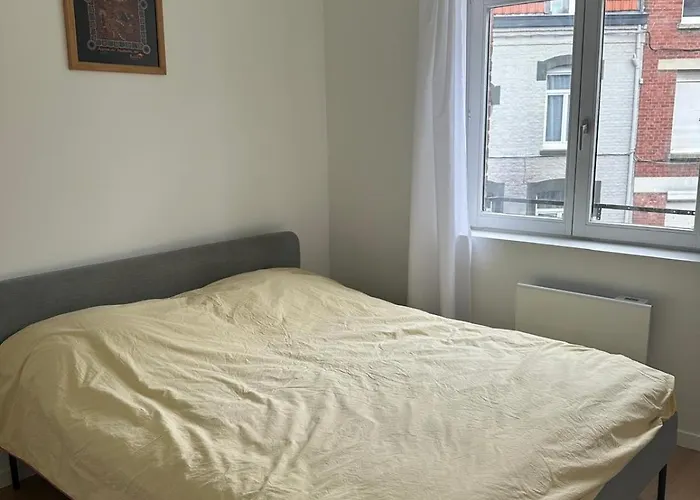 Sweet Mother Et Espace Partage 1 & 2 Sdb Wc Sejour * Lille